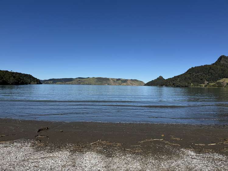21 Huia Dam Road Huia_21