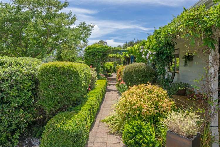 216 Neal Road Spring Creek_26