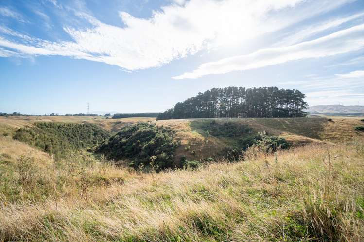 44 Atlantic Drive Fitzherbert_6