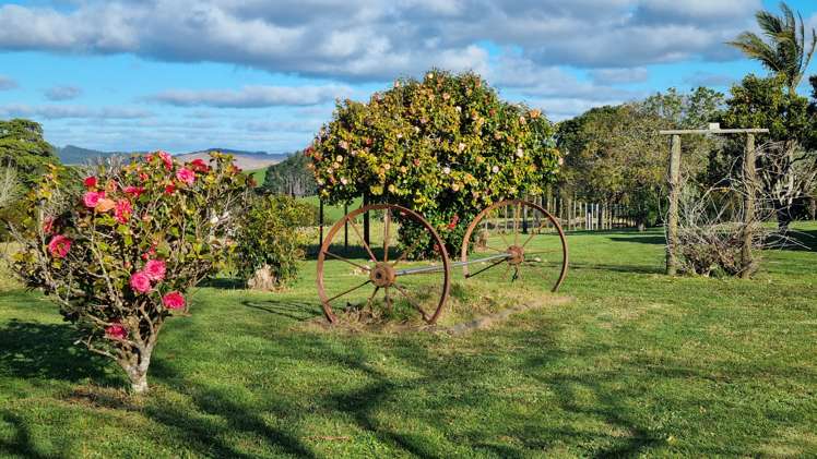 303 Port Albert Road Wellsford_23