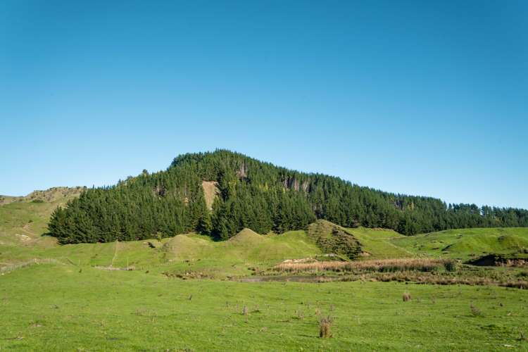 229 Rangikohua Road Tolaga Bay_11