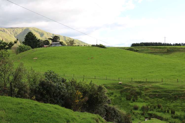 165 Albert Road Tokomaru_0