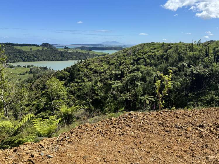 Lot 2 Brown Road Kawhia_8