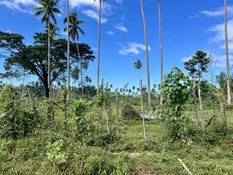 lot1,2,3,4 Belego Estate, Savusavu Vanua Levu_5