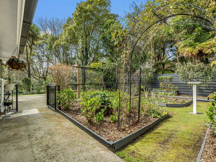 358 Sunset Road Sunnybrook_28