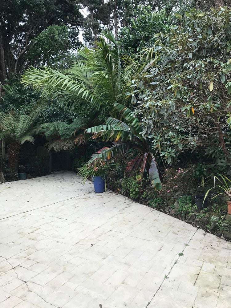 65 Nevay Road Miramar_1