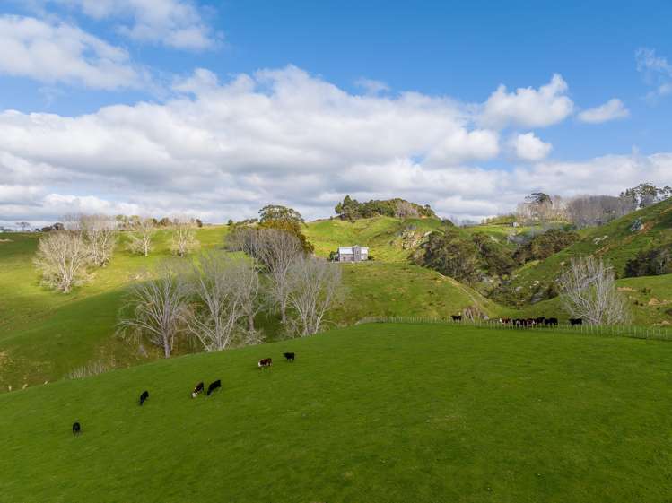 420 Ponganui Road Onewhero_15