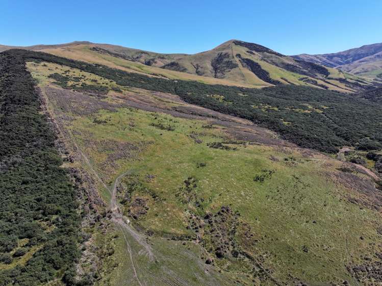 201 Sheepwash Creek Road Ardlussa_11