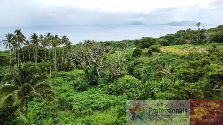 Address withheld Taveuni_11