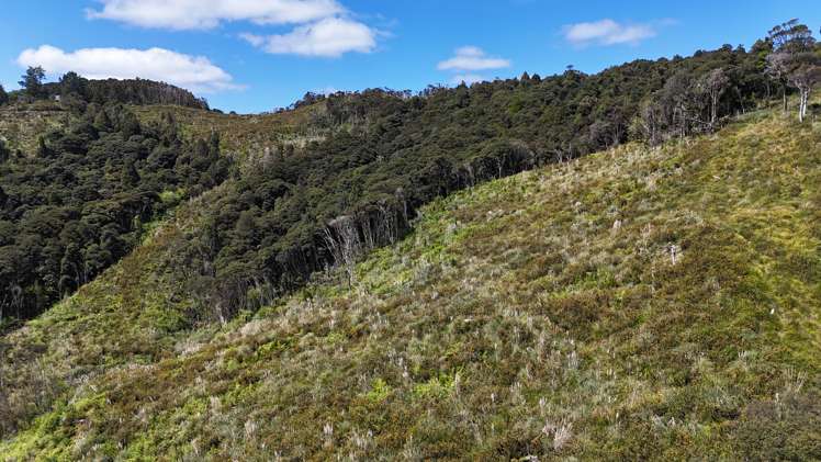 Otangaroa Side Road Kaeo_6