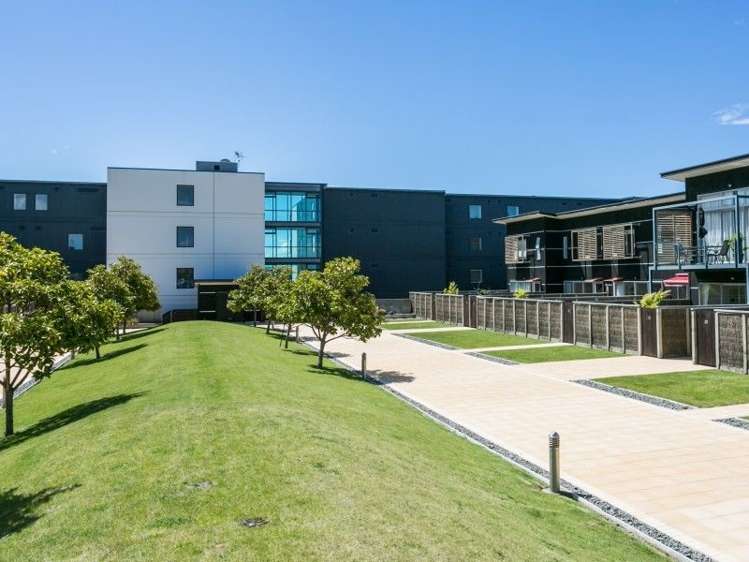 31/9 Humber Street Pandora_9