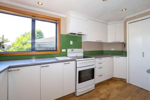 49 Harrison Street Allenton_1