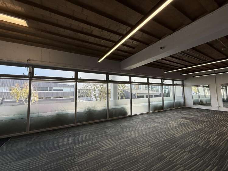 17 Maidstone Place Grey Lynn_10