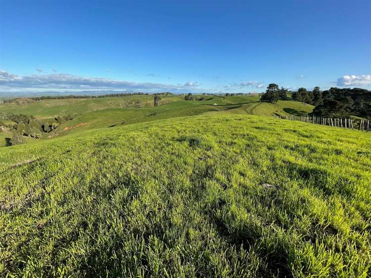 200 Owaikura Road Otorohanga_25