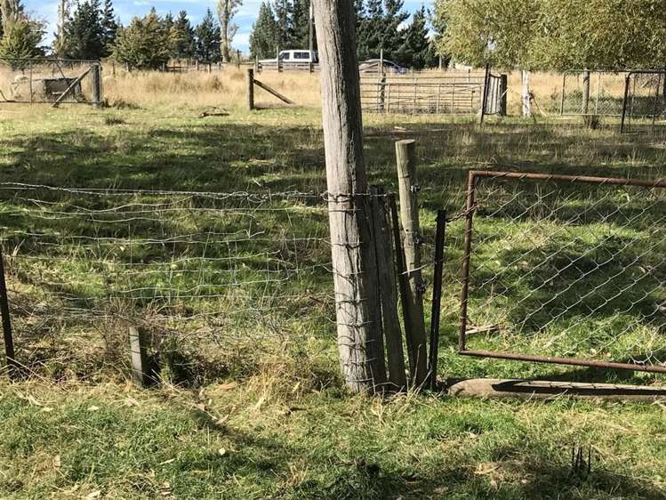 56 Farm Street Lumsden_8