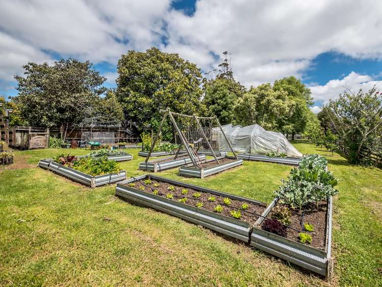 109A Wiroa Road Kerikeri_28