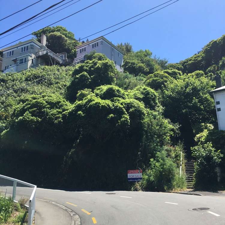 73 Garden Road Northland_5