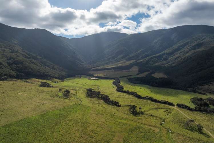 4710 Kenepuru Road Marlborough Sounds_40