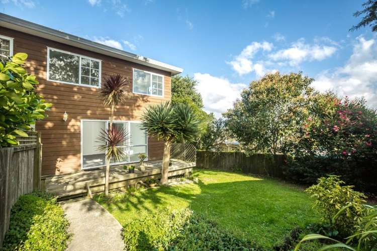 193C Eskdale Road_0