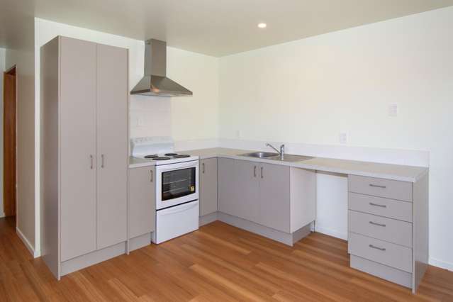 106 Bickerton Street Wainoni_2