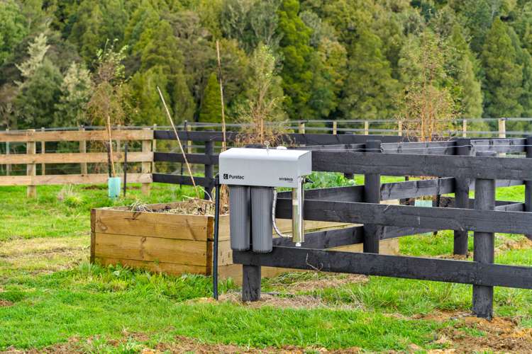 110 Ti Tree Way Hunua_21