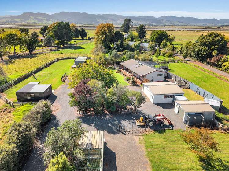 161 Hauraki Rd Orongo_12