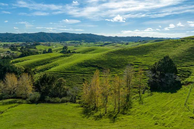1572 Ruapekapeka Road Kawakawa_1