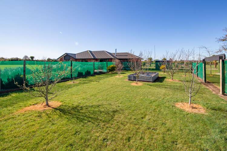 33 Mchugh Crescent Darfield_19