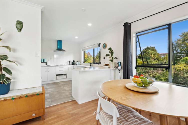 13 Cornell Court Albany_7