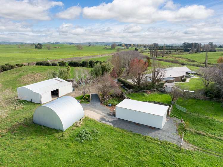 485 Kiwitahi Railway Road Morrinsville_9