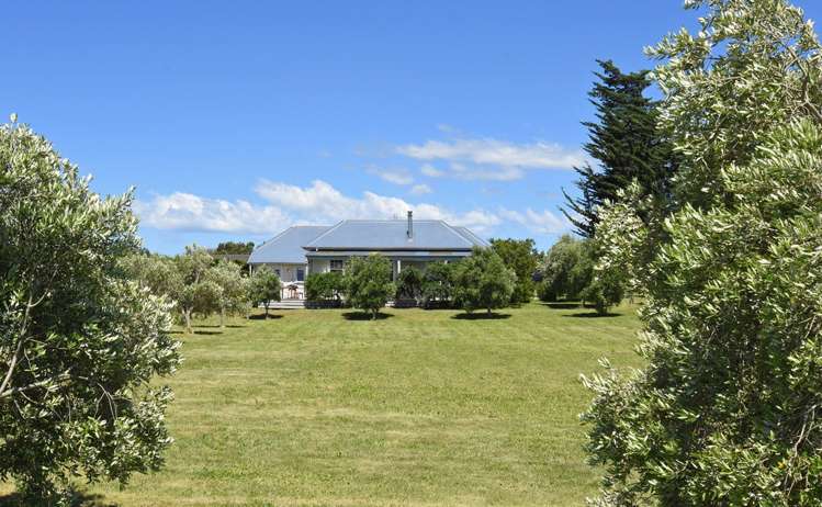 142b Dublin Street Martinborough_14