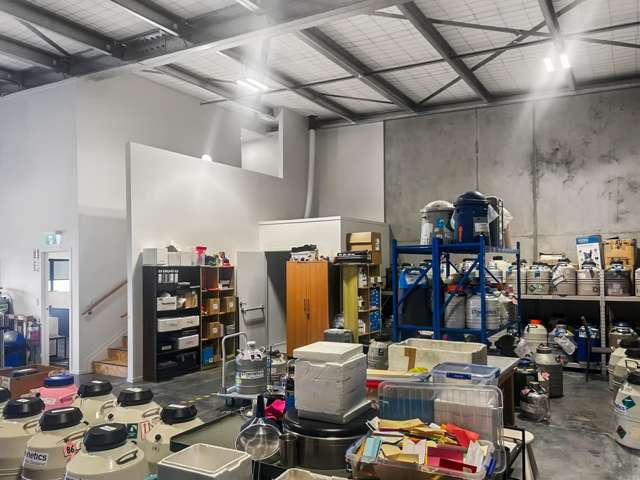 3/123 Ingram Road Rukuhia_3