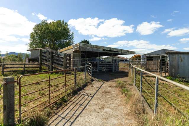 165 Crean Road Waihi_4