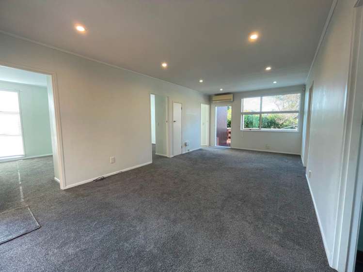 38 Halsey Drive Lynfield_16