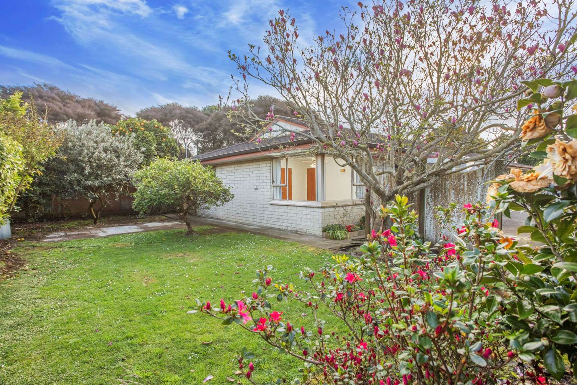 3/19 King Street Papatoetoe_0