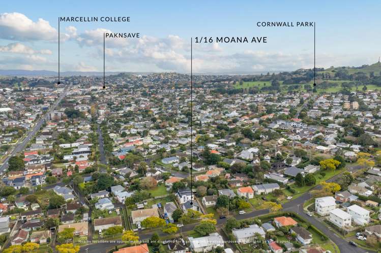 16 Moana Avenue One Tree Hill_22