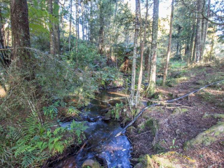 304 Mangakahia Road Maungatapere_15