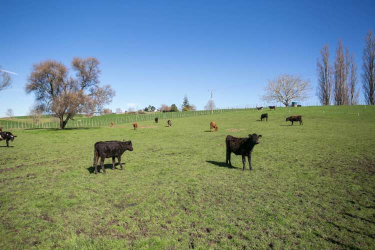 464 Ouruwhero Road Otorohanga_24