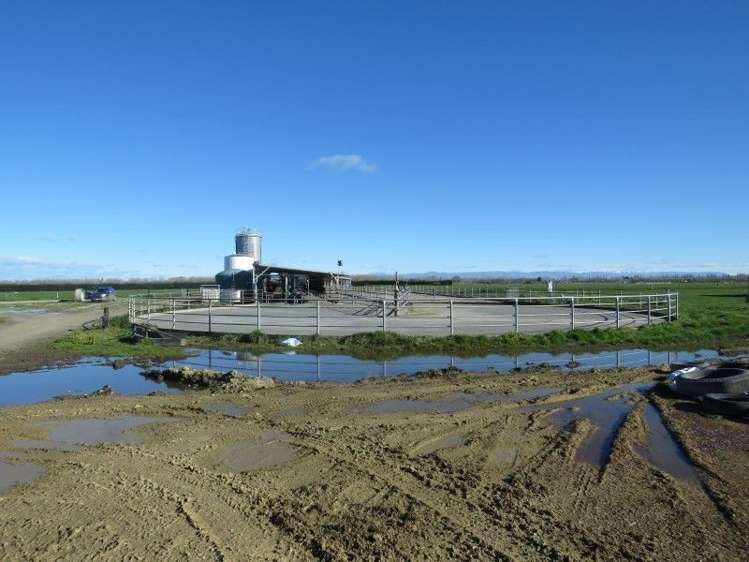 110 Donehue Road Clandeboye_14