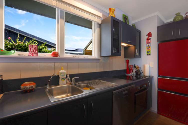 79 George Street Tinwald_5