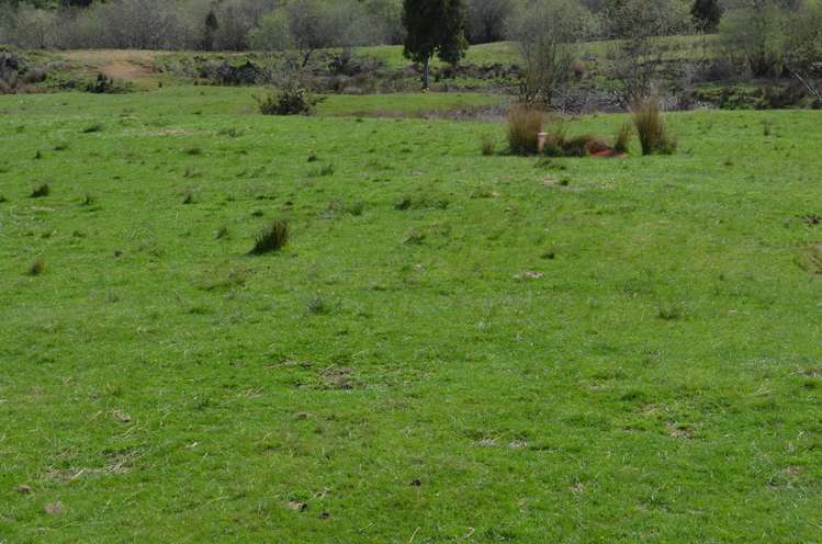 1539 Waitaanga Road Ohura_9