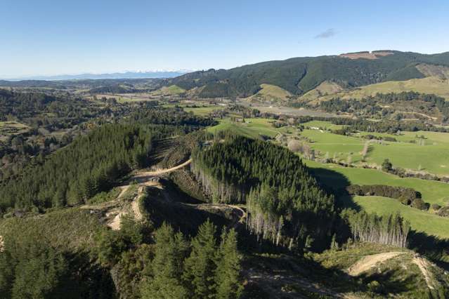 Graham Valley Road Motueka Valley_3
