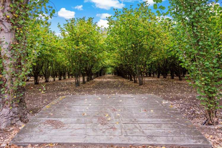 727 The Lake Road Leeston_14