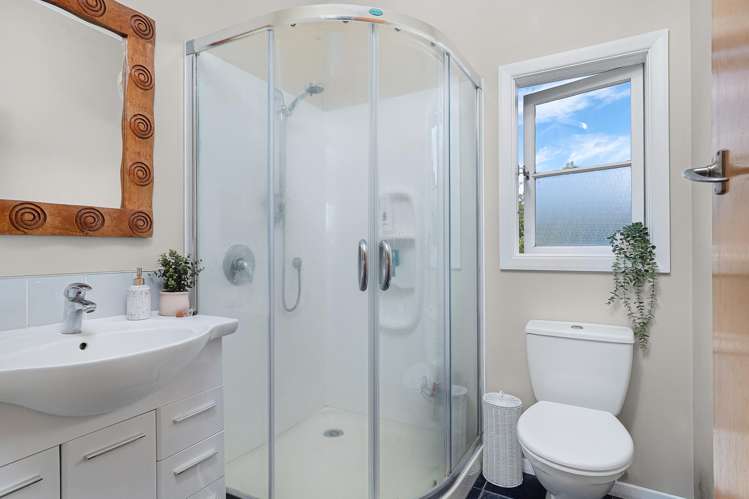 491c Marychurch Road Matangi_10