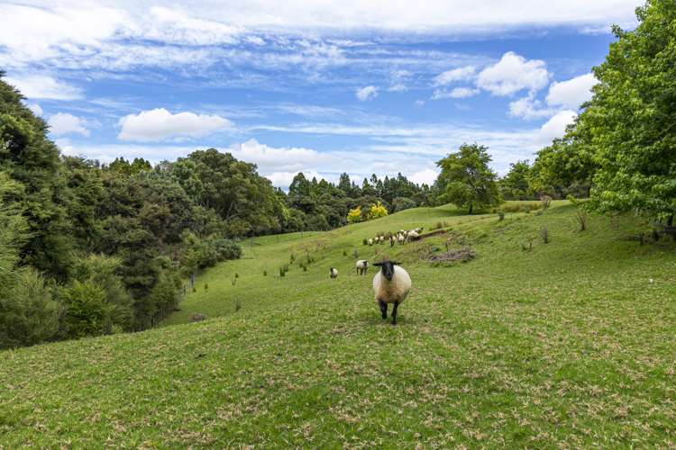 1439 Old North Road Helensville_24