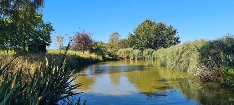 357 Middle Road Gore Surrounds_13