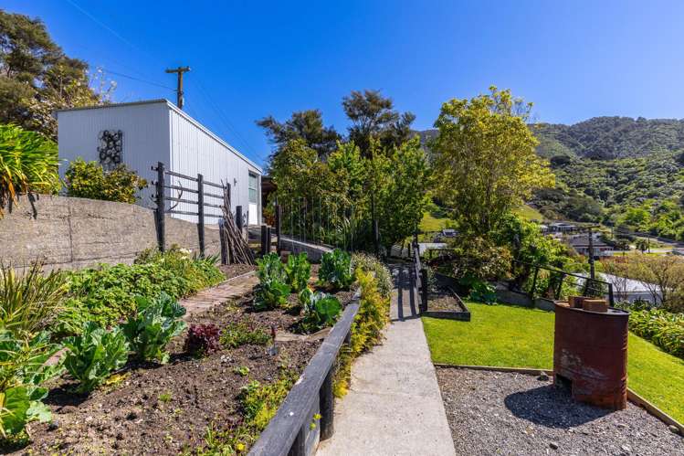 8 Dorset Street Picton_37