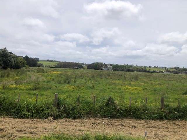 Prime Bare Land Opportunity in Dargaville