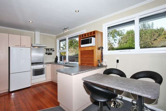 100 Brynley Street Hornby_1