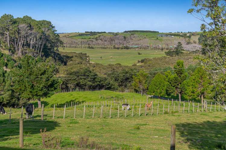 499 Shelly Beach Road South Head_23